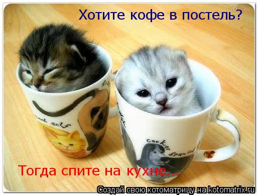 Хотите кофе в постель? Тогда спите на кухне...... Котоматрица: Хотите кофе в постель? Тогда спите на кухне...