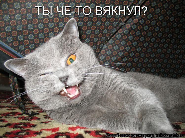 ТЫ ЧЕ-ТО ВЯКНУЛ?... Котоматрица: ТЫ ЧЕ-ТО ВЯКНУЛ?