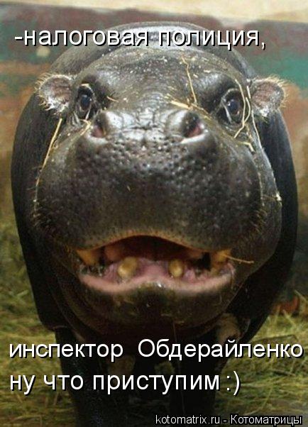Котоматрица: -налоговая полиция,  инспектор  Обдерайленко ну что приступим :)