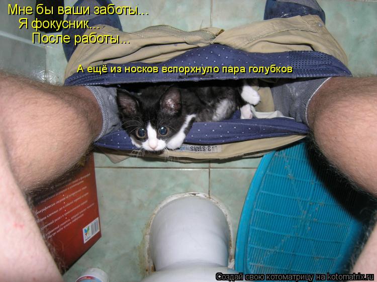 Мне бы ваши заботы... Я фокусник... После работы... А ещё из носков вспорхнуло пара голубков... Котоматрица: Мне бы ваши заботы... Я фокусник... После работы... А ещё из носков вспорхнуло пара голубков