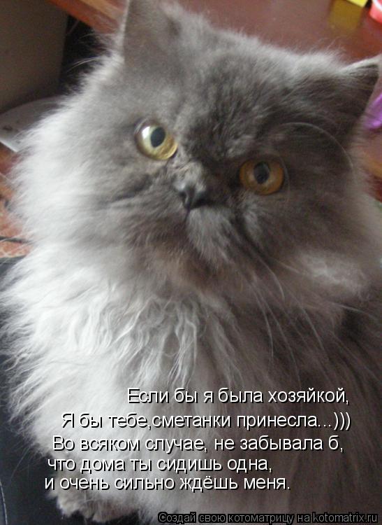 Если бы я была хозяйкой, Я бы тебе,сметанки принесла...))) Во всяком случае, не забывала б, что дома ... Котоматрица: Если бы я была хозяйкой, Я бы тебе,сметанки принесла...))) Во всяком случае, не забывала б, что дома ты сидишь одна, и очень сильно ждёшь меня.