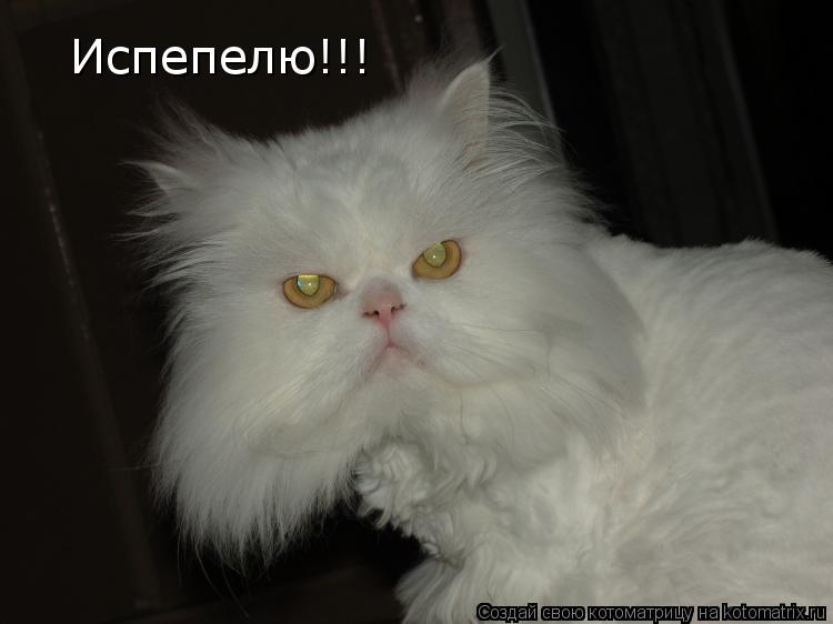 Котоматрица: Испепелю!!!