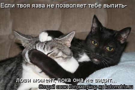 Если твоя язва не позволяет тебе выпить- лови момент, пока она не видит...... Котоматрица: Если твоя язва не позволяет тебе выпить- лови момент, пока она не видит...
