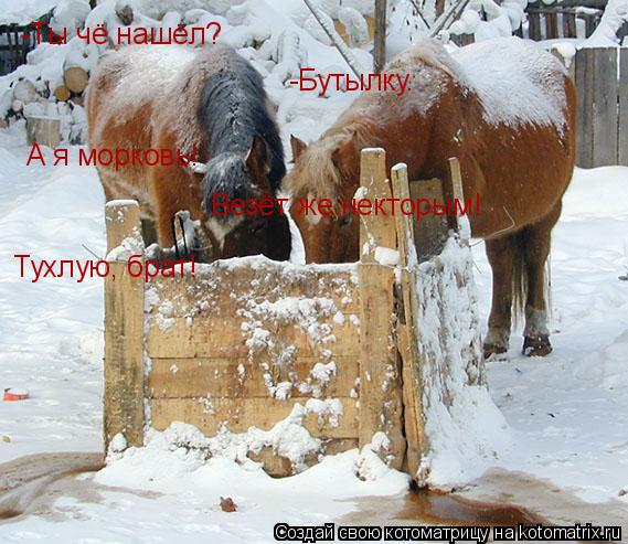 Котоматрица: -Ты чё нашёл? -Бутылку. А я морковь! Тухлую, брат! Везёт же некторым!