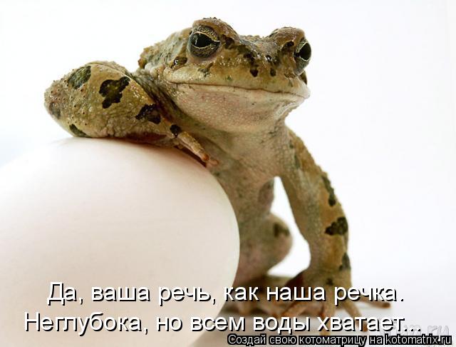 Котоматрица: Да, ваша речь, как наша речка. Неглубока, но всем воды хватает...