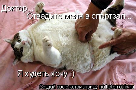 Котоматрица: Доктор... Отведите меня в спортзал... Я худеть хочу :)