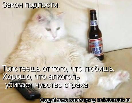 Закон подлости: Толстеешь от того, что любишь. Хорошо, что алкоголь убивает чувство страха.... Котоматрица: Закон подлости: Толстеешь от того, что любишь. Хорошо, что алкоголь убивает чувство страха.