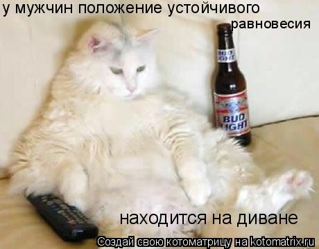 у мужчин положение устойчивого равновесия находится на диване... Котоматрица: у мужчин положение устойчивого равновесия находится на диване