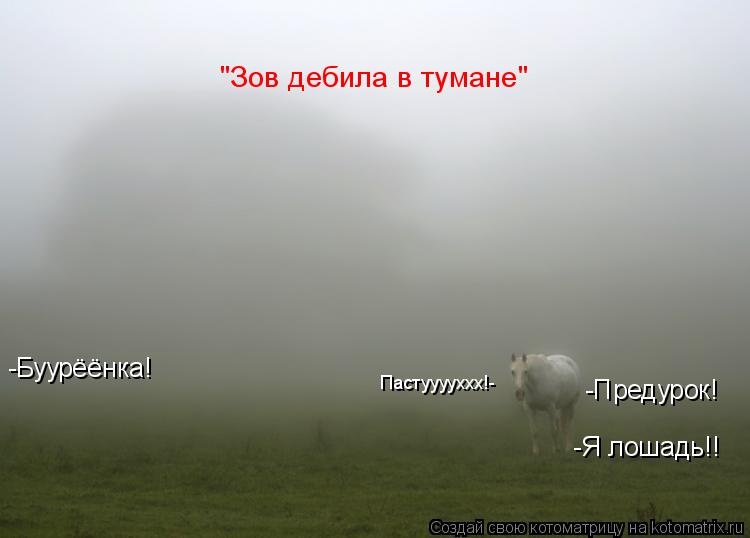 Котоматрица: Пастууууххх!- -Буурёёнка! -Предурок! -Я лошадь!! "Зов дебила в тумане"