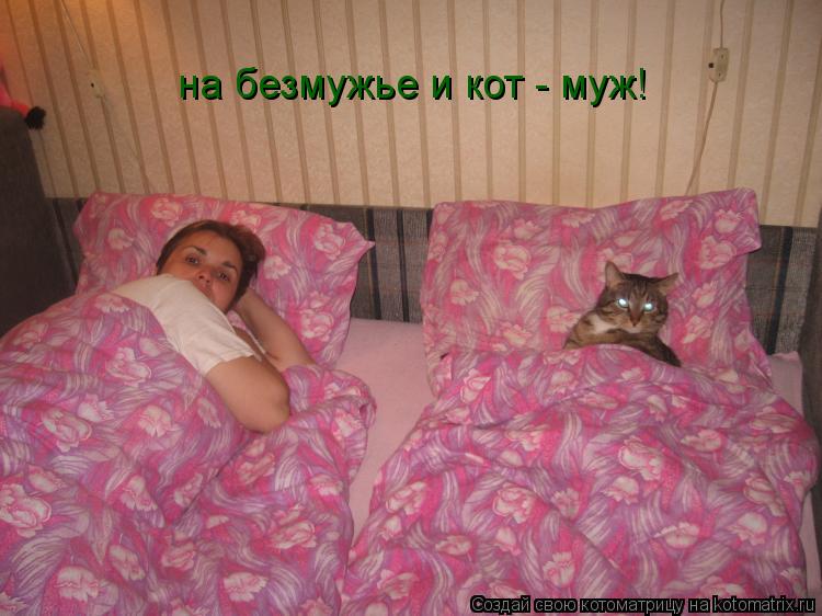 Котоматрица: на безмужье и кот - муж!