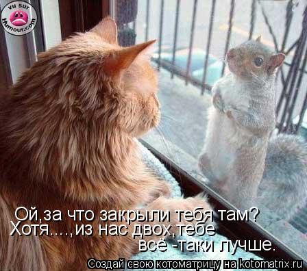 Котоматрица: Ой,за что закрыли тебя там? Хотя....,из нас двох,тебе всё -таки лучше.