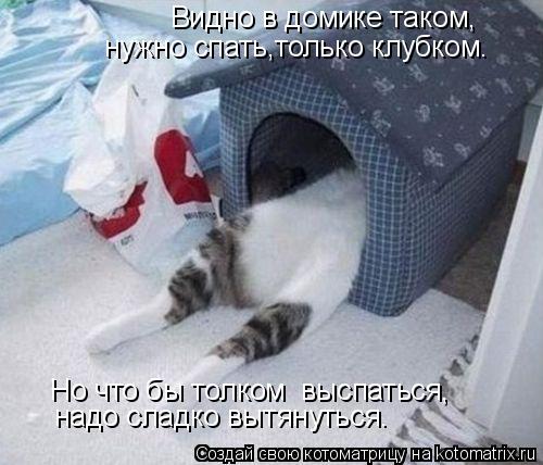 Видно в домике таком, нужно спать,только клубком. Но что бы толком выспаться, надо сладко вытянуться... Котоматрица: Видно в домике таком, нужно спать,только клубком. Но что бы толком выспаться, надо сладко вытянуться.