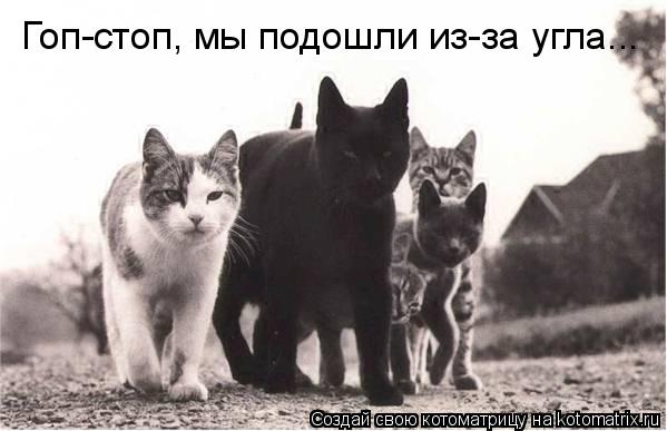Гоп-стоп, мы подошли из-за угла...... Котоматрица: Гоп-стоп, мы подошли из-за угла...