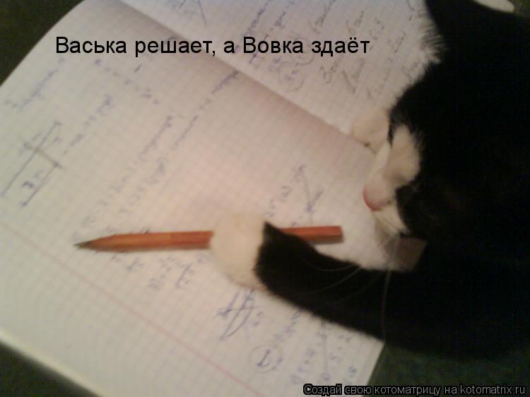 Котоматрица: Васька решает, а Вовка здаёт