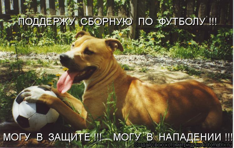 ПОДДЕРЖУ СБОРНУЮ ПО ФУТБОЛУ !!! МОГУ В ЗАЩИТЕ !!! МОГУ В НАПАДЕНИИ !!!... Котоматрица: ПОДДЕРЖУ СБОРНУЮ ПО ФУТБОЛУ !!! МОГУ В ЗАЩИТЕ !!! МОГУ В НАПАДЕНИИ !!!
