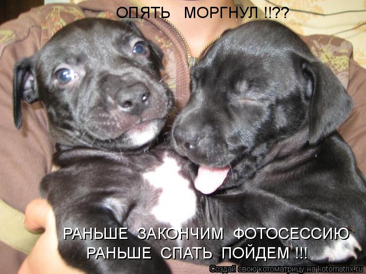 Котоматрица: ОПЯТЬ   МОРГНУЛ !!??  РАНЬШЕ  ЗАКОНЧИМ  ФОТОСЕССИЮ РАНЬШЕ  СПАТЬ  ПОЙДЕМ !!!