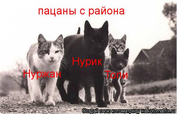 пацаны с района Нурик Нуржан Топи... Котоматрица: пацаны с района Нурик Нуржан Топи