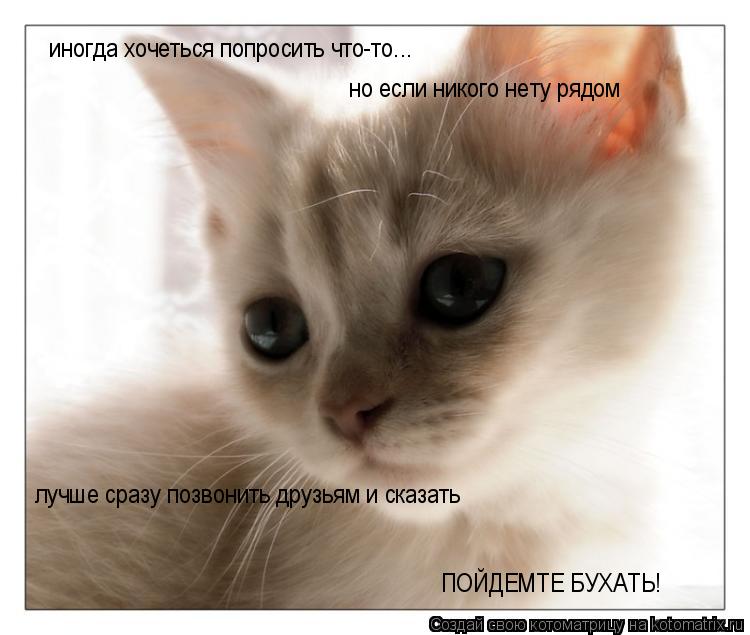 Котоматрица: иногда хочеться попросить что-то... но если никого нету рядом лучше сразу позвонить друзьям и сказать ПОЙДЕМТЕ БУХАТЬ!