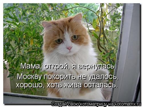 Котоматрица: Мама, открой, я вернулась. Москву покорить не удалось,  хорошо, хоть жива осталась.