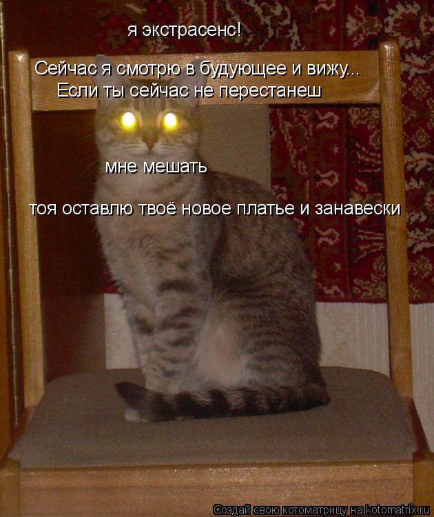 я экстрасенс! Сейчас я смотрю в будующее и вижу... Если ты сейчас не перестанеш мне мешать тоя оставл... Котоматрица: я экстрасенс! Сейчас я смотрю в будующее и вижу... Если ты сейчас не перестанеш мне мешать тоя оставлю твоё новое платье и занавески