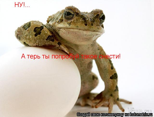 НУ!... А терь ты попробуй такое снести!... Котоматрица: НУ!... А терь ты попробуй такое снести!