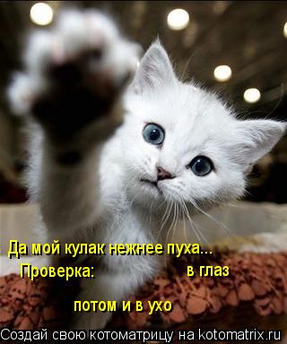 Котоматрица: Да мой кулак нежнее пуха... в глаз потом и в ухо Проверка: