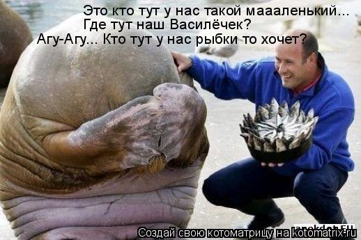 Котоматрица: Это кто тут у нас такой маааленький... Где тут наш Василёчек? Агу-Агу... Кто тут у нас рыбки то хочет?