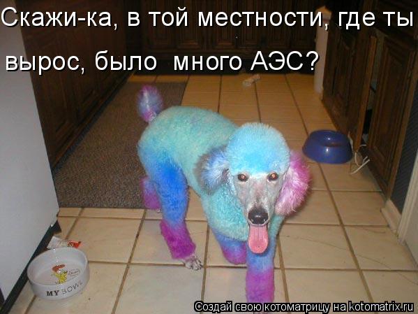 Скажи-ка, в той местности, где ты вырос, было наверняка вырос, было много АЭС?... Котоматрица: Скажи-ка, в той местности, где ты вырос, было наверняка вырос, было много АЭС?
