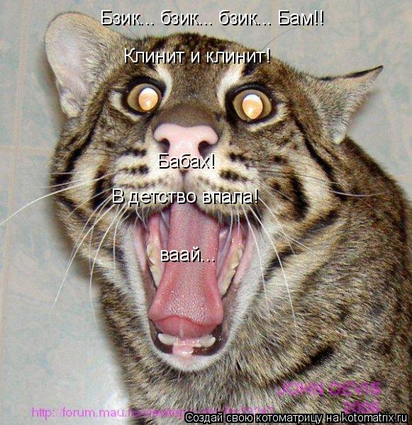 Котоматрица: Бзик... бзик... бзик... Бам!! Клинит и клинит! Бабах! В детство впала! ваай...