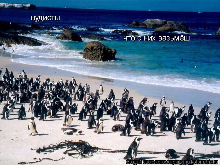нудисты.... что с них вазьмёш... Котоматрица: нудисты.... что с них вазьмёш