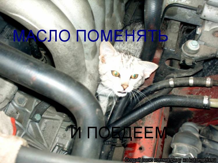 Котоматрица: МАСЛО ПОМЕНЯТЬ И ПОЕДЕЕМ