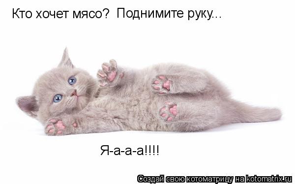 Котоматрица: Кто хочет мясо? Поднимите руку... Я-а-а-а!!!!