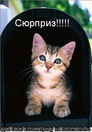 Котоматрица: Сюрприз!!!!!