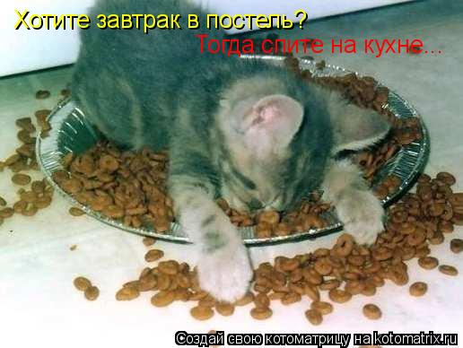 Хотите завтрак в постель? Тогда спите на кухне...... Котоматрица: Хотите завтрак в постель? Тогда спите на кухне...