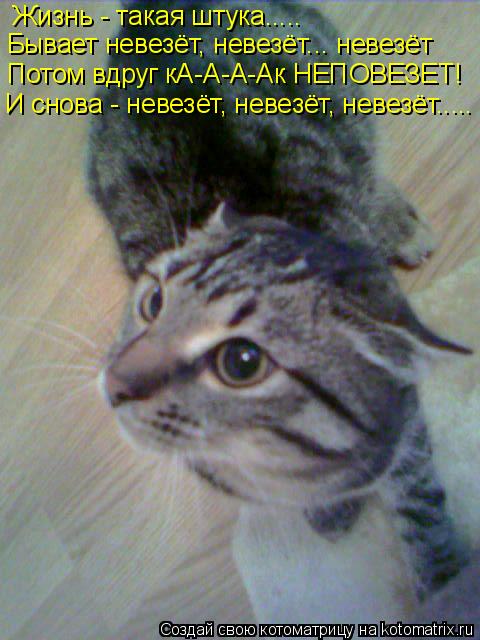 Котоматрица: Жизнь - такая штука..... Бывает невезёт, невезёт... невезёт Потом вдруг кА-А-А-Ак НЕПОВЕЗЕТ! И снова - невезёт, невезёт, невезёт.....