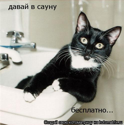 давай в сауну бесплатно...... Котоматрица: давай в сауну бесплатно...