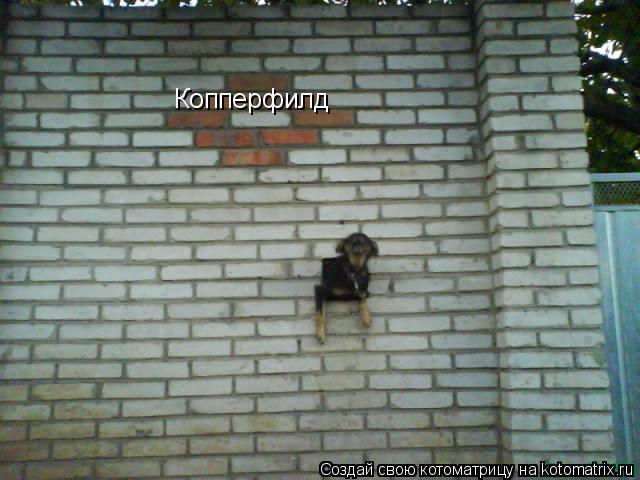 Копперфилд... Котоматрица: Копперфилд