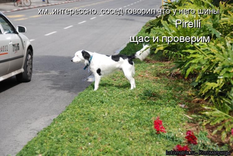 Котоматрица: хм..интерессно..сосед говорил что у него шины Pirelli щас и проверим