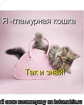 Я -гламурная кошка Так и знай!... Котоматрица: Я -гламурная кошка Так и знай!