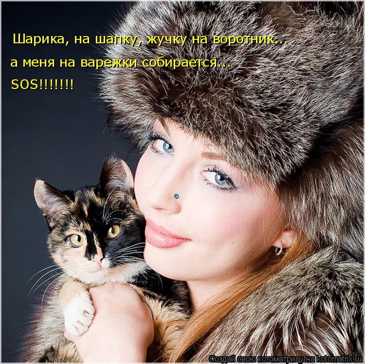 Котоматрица: Шарика, на шапку, жучку на воротник... а меня на варежки собирается...  SOS!!!!!!!