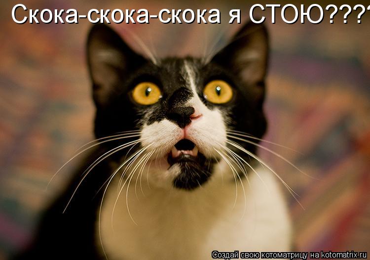 Скока-скока-скока я СТОЮ????... Котоматрица: Скока-скока-скока я СТОЮ????
