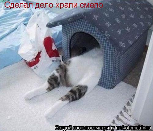 Сделал дело храпи смело... Котоматрица: Сделал дело храпи смело