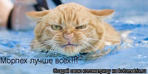 Морпех лучше всех!!!... Котоматрица: Морпех лучше всех!!!