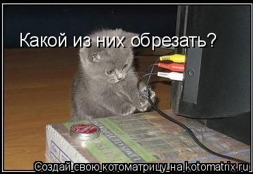 Котоматрица: Какой из них обрезать?
