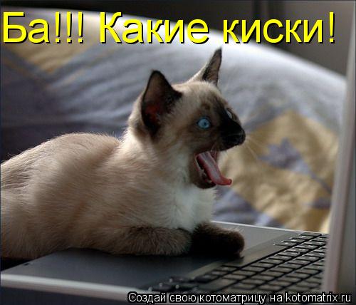 Котоматрица: Ба!!! Какие киски!