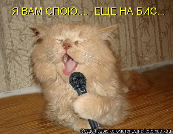 Я ВАМ СПОЮ.... ЕЩЕ НА БИС...... Котоматрица: Я ВАМ СПОЮ.... ЕЩЕ НА БИС...
