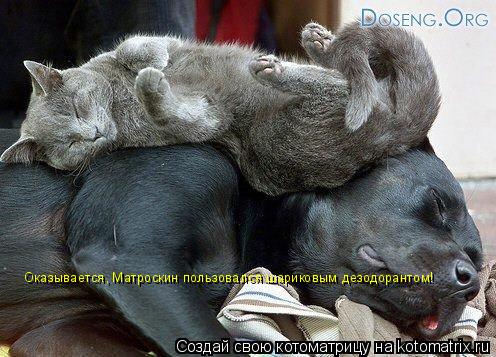 Оказывается, Матроскин пользовался шариковым дезодорантом!... Котоматрица: Оказывается, Матроскин пользовался шариковым дезодорантом!