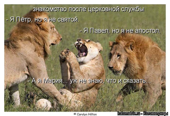 Котоматрица: знакомство после церковной службы - Я Пётр, но я не святой. - Я Павел, но я не апостол. - А я Мария... уж не знаю, что и сказать...