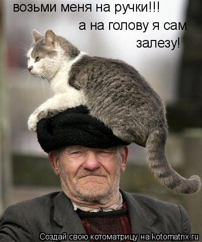 Котоматрица: возьми меня на ручки!!! а на голову я сам залезу!