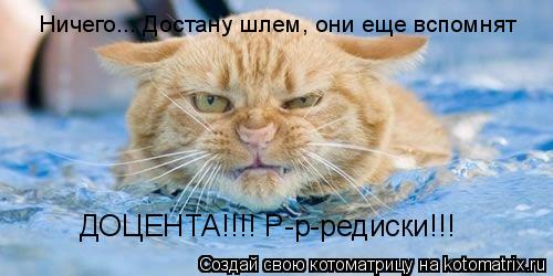 Ничего... Достану шлем, они еще вспомнят ДОЦЕНТА!!!! Р-р-редиски!!!... Котоматрица: Ничего... Достану шлем, они еще вспомнят ДОЦЕНТА!!!! Р-р-редиски!!!